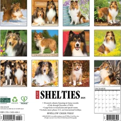 2025 Calendars|Willow Creek 2025 Just Shelties 12" x 12" Monthly Wall Calendar (44841)