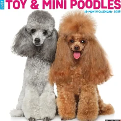 2025 Calendars|Willow Creek 2025 Just Toy and Miniature Poodles 12" x 12" Monthly Wall Calendar (45145)