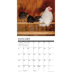 2025 Calendars|Willow Creek 2025 Just Us Chickens 12