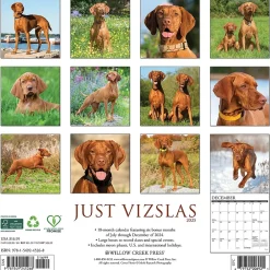 2025 Calendars|Willow Creek 2025 Just Vizslas 12" x 12" Monthly Wall Calendar (45268)