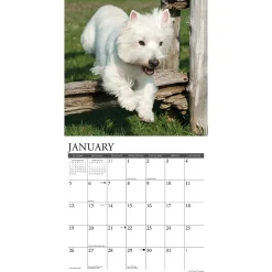 2025 Calendars|Willow Creek 2025 Just Westies 12
