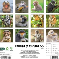 2025 Calendars|Willow Creek 2025 Monkey Business 12" x 12" Monthly Wall Calendar (44001)