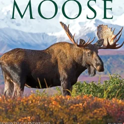 2025 Calendars|Willow Creek 2025 Moose 12" x 12" Monthly Wall Calendar (44032)
