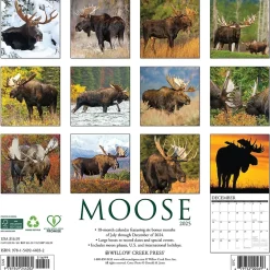 2025 Calendars|Willow Creek 2025 Moose 12" x 12" Monthly Wall Calendar (44032)