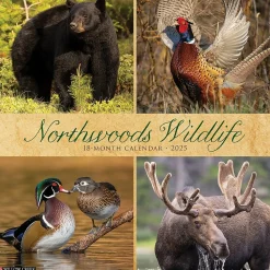 2025 Calendars|Willow Creek 2025 Northwoods Wildlife 12" x 12" Monthly Wall Calendar (44230)
