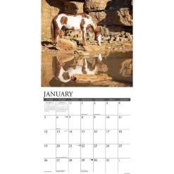 2025 Calendars|Willow Creek 2025 Paint Horses 12