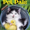2025 Calendars|Willow Creek 2025 Pet Pals 12" x 12" Monthly Wall Calendar (44438)
