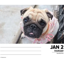 2025 Calendars|Willow Creek 2025 Pugs 6