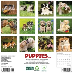 2025 Calendars|Willow Creek 2025 Puppies 7" x 7" Yearly Wall Calendar (45862)