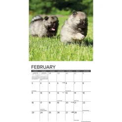 2025 Calendars|Willow Creek 2025 Puppies 7