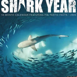 2025 Calendars|Willow Creek 2025 Shark Year 12" x 12" Monthly Wall Calendar (46609)