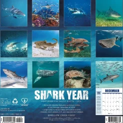 2025 Calendars|Willow Creek 2025 Shark Year 12" x 12" Monthly Wall Calendar (46609)