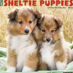 2025 Calendars|Willow Creek 2025 Sheltie Puppies 12" x 12" Monthly Wall Calendar (44834)