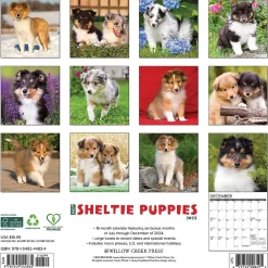2025 Calendars|Willow Creek 2025 Sheltie Puppies 12" x 12" Monthly Wall Calendar (44834)