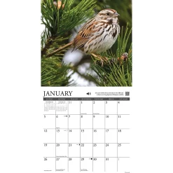 2025 Calendars|Willow Creek 2025 Songbirds 12