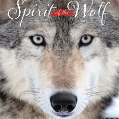 2025 Calendars|Willow Creek 2025 Spirit of the Wolf 12" x 12" Monthly Wall Calendar (45008)