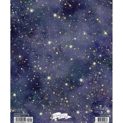 2025 Planners|Willow Creek 2025 Starry Night 7.5" x 9.5" Monthly Planner Cover (48511)