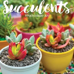 2025 Calendars|Willow Creek 2025 Succulents 12" x 12" Monthly Wall Calendar (45022)