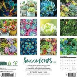 2025 Calendars|Willow Creek 2025 Succulents 12" x 12" Monthly Wall Calendar (45022)