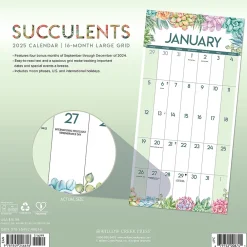 2025 Calendars|Willow Creek 2025 Succulents 12" x 12" Yearly Wall Calendar (46616)