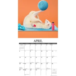 2025 Calendars|Willow Creek 2025 The Modern Ferret 12