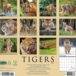 2025 Calendars|Willow Creek 2025 Tigers 12" x 12" Yearly Wall Calendar (45114)