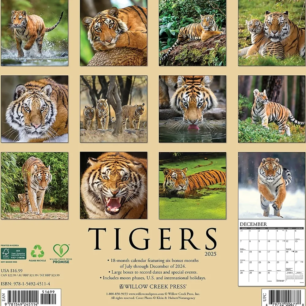 2025 Calendars|Willow Creek 2025 Tigers 12" x 12" Yearly Wall Calendar (45114)