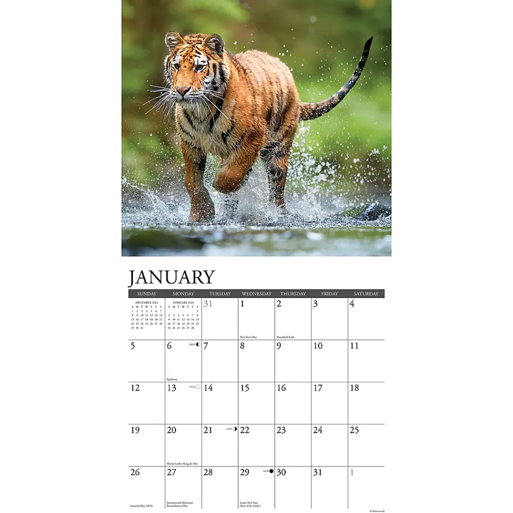 2025 Calendars|Willow Creek 2025 Tigers 12" x 12" Yearly Wall Calendar (45114)