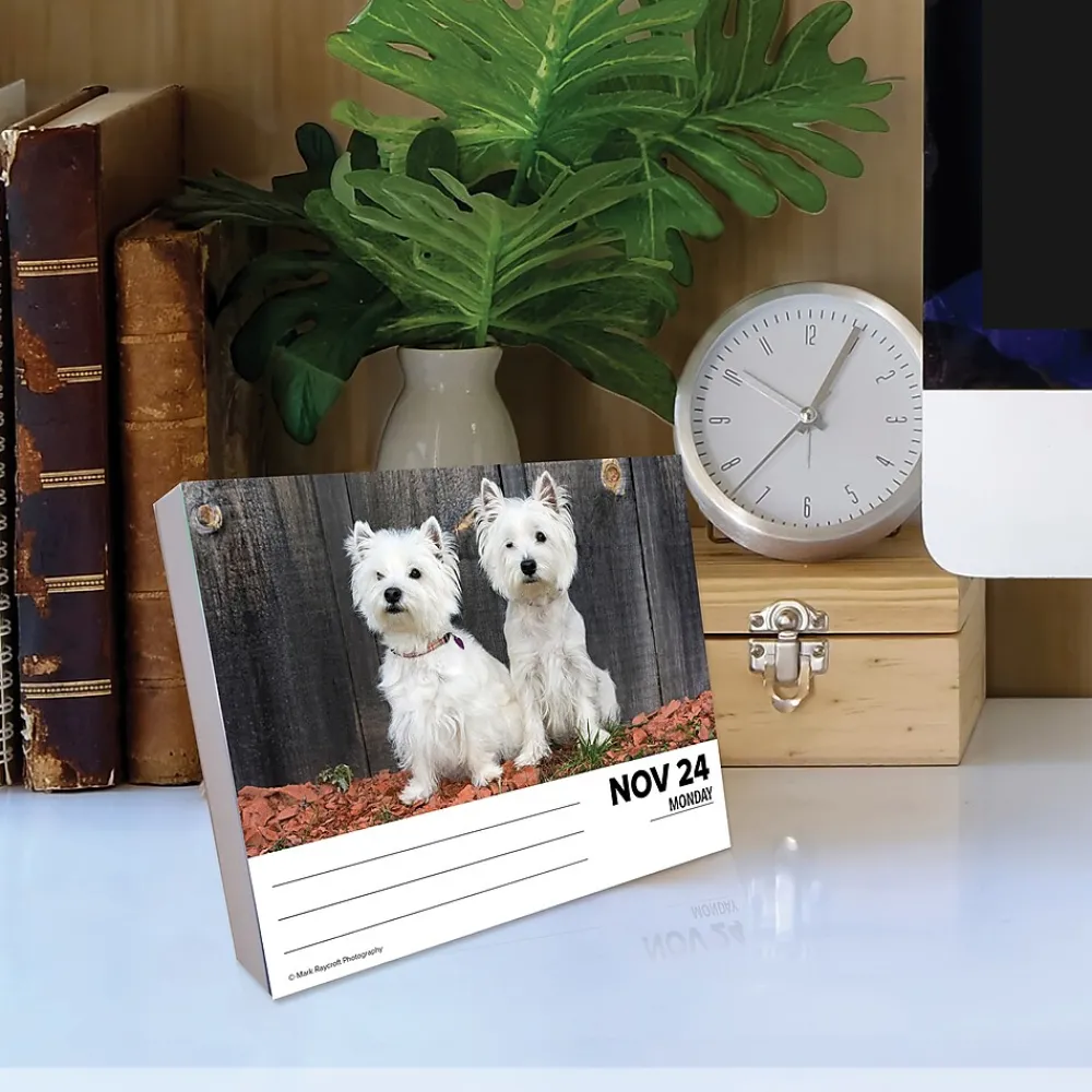 2025 Calendars|Willow Creek 2025 Westies 6" x 5.5" Day-to-Day Calendar (41093)
