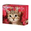 2025 Calendars|Willow Creek 2025 What Cats Teach Us 6" x 5.5" Day-to-Day Calendar (41109)
