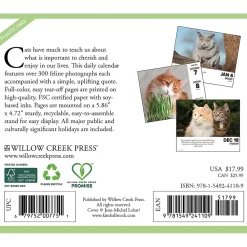 2025 Calendars|Willow Creek 2025 What Cats Teach Us 6" x 5.5" Day-to-Day Calendar (41109)