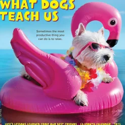 2025 Calendars|Willow Creek 2025 What Dogs Teach Us 12" x 12" Yearly Wall Calendar (45350)