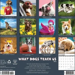 2025 Calendars|Willow Creek 2025 What Dogs Teach Us 12" x 12" Yearly Wall Calendar (45350)
