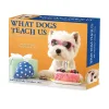 2025 Calendars|Willow Creek 2025 What Dogs Teach Us 6" x 5.5" Day-to-Day Calendar (41116)