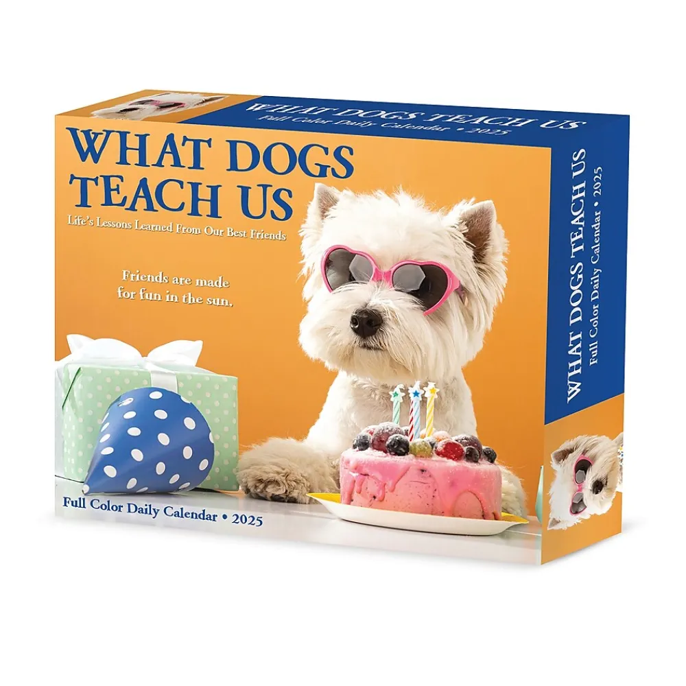 2025 Calendars|Willow Creek 2025 What Dogs Teach Us 6" x 5.5" Day-to-Day Calendar (41116)