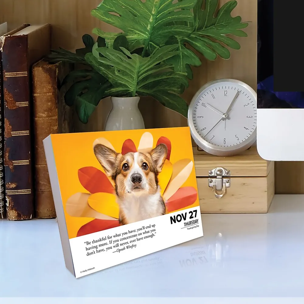 2025 Calendars|Willow Creek 2025 What Dogs Teach Us 6" x 5.5" Day-to-Day Calendar (41116)