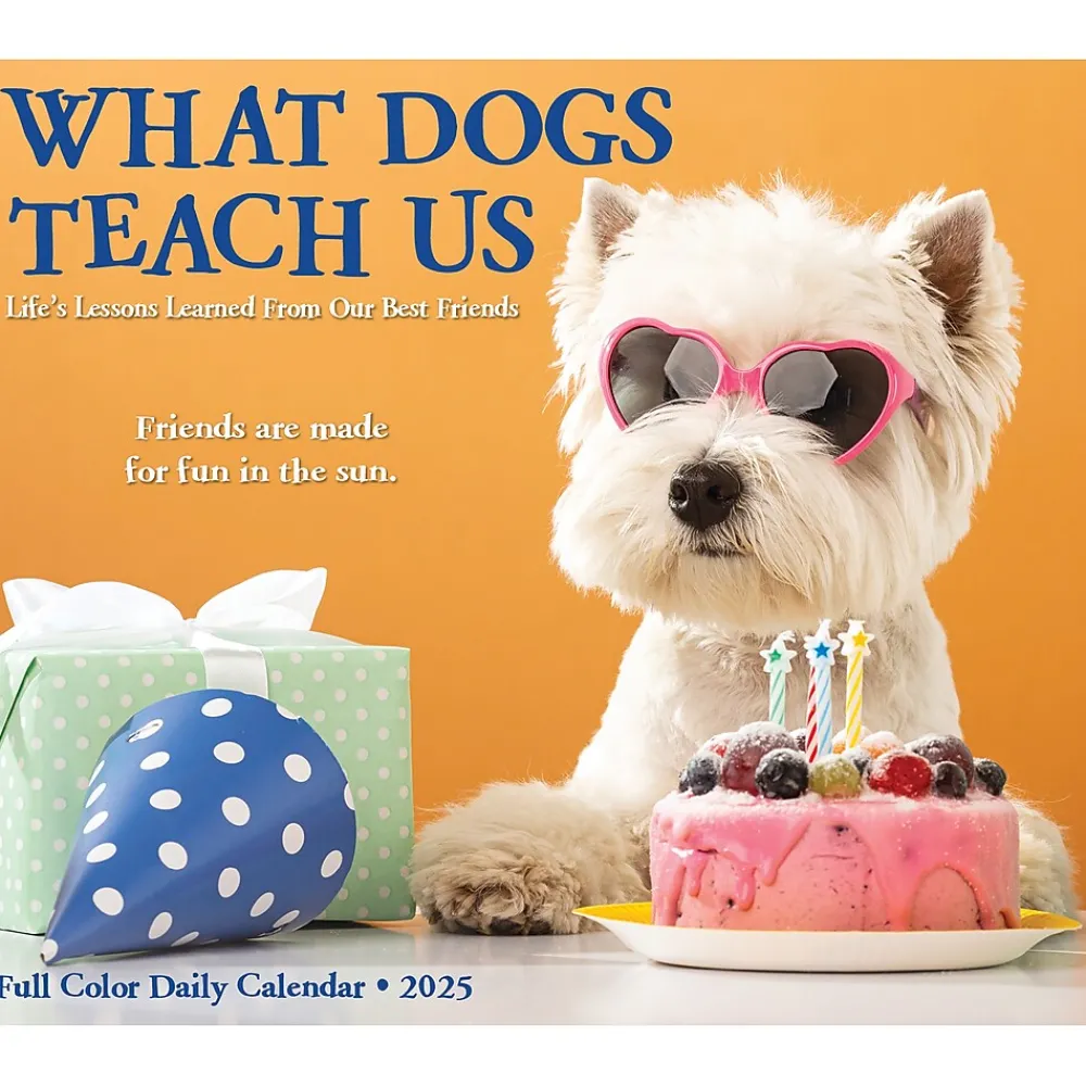 2025 Calendars|Willow Creek 2025 What Dogs Teach Us 6" x 5.5" Day-to-Day Calendar (41116)