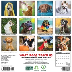 2025 Calendars|Willow Creek 2025 What Dogs Teach Us 7" x 7" Monthly Wall Calendar (46029)