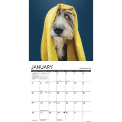 2025 Calendars|Willow Creek 2025 What Dogs Teach Us 7