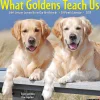 2025 Calendars|Willow Creek 2025 What Goldens Teach Us 12" x 12" Monthly Wall Calendar (45374)