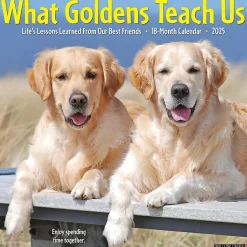 2025 Calendars|Willow Creek 2025 What Goldens Teach Us 12" x 12" Monthly Wall Calendar (45374)