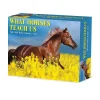 2025 Calendars|Willow Creek 2025 What Horses Teach Us 6" x 5.5" Day-to-Day Calendar (41123)