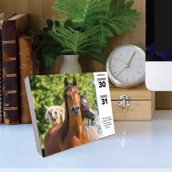 2025 Calendars|Willow Creek 2025 What Horses Teach Us 6