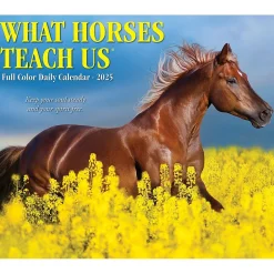 2025 Calendars|Willow Creek 2025 What Horses Teach Us 6