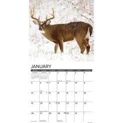 2025 Calendars|Willow Creek 2025 Whitetail Monarchs 12