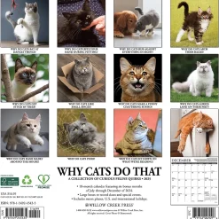 2025 Calendars|Willow Creek 2025 Why Cats Do That 12" x 12" Monthly Wall Calendar (45435)