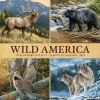 2025 Calendars|Willow Creek 2025 Wild America 12" x 12" Monthly Wall Calendar (45459)