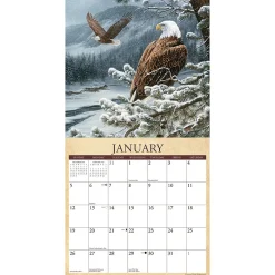 2025 Calendars|Willow Creek 2025 Wild America 12