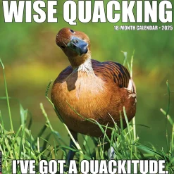 2025 Calendars|Willow Creek 2025 Wise Quacking 12" x 12" Yearly Wall Calendar (46371)
