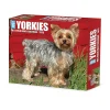 2025 Calendars|Willow Creek 2025 Yorkies 6" x 5.5" Day-to-Day Calendar (41130)